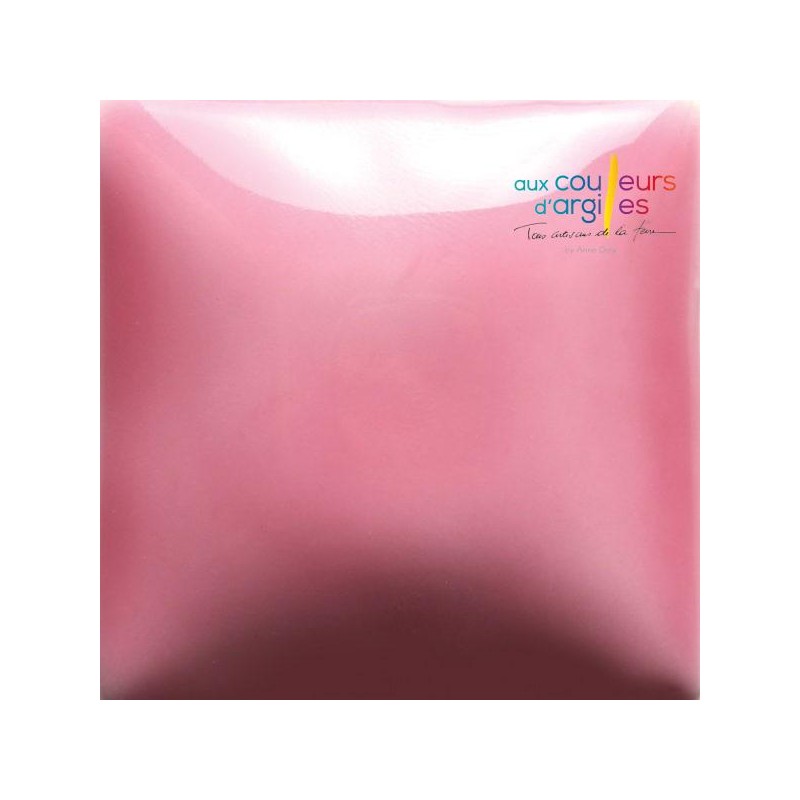 FN048 BrightPink 473ml Mayco Foundations