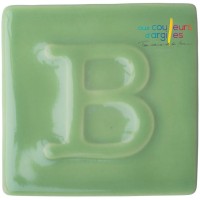 9304  Celadon Green 1020-1280° BOTZ PRO  200ml